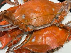 -东方红海鲜百汇(国际大厦店)