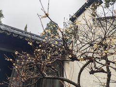 -惠山古镇·寄畅园