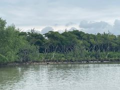 -东寨港红树林旅游区