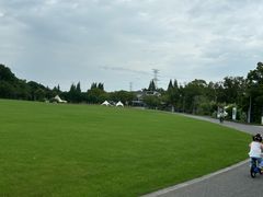 -昆山城市生态森林公园