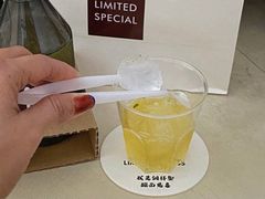 -LIMITED EXPRESS 限定快线