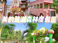 -美的鹭湖森林度假区