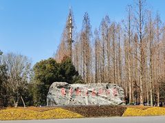 -东平国家森林公园
