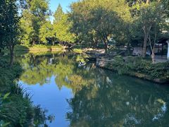 -西溪国家湿地公园