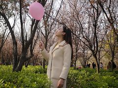 -自然谷恐龙园