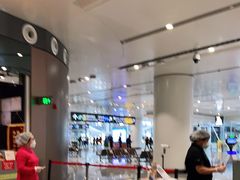 -麦当劳(北京大兴机场二层国内到达(安检外)店)