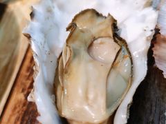 -渡海小渔村.老辈日照菜