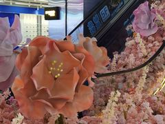 -吾悦广场(天津和平店)
