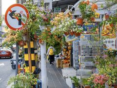 -溪岸路花鸟市场