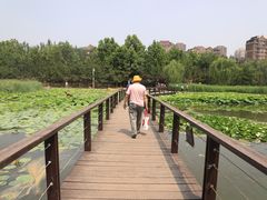 -前关湿地公园