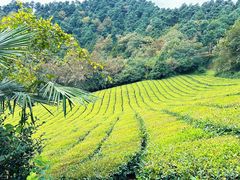 -敬亭山风景名胜区