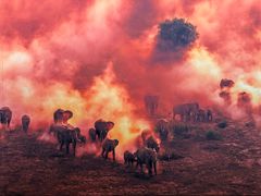 -罗红摄影艺术馆