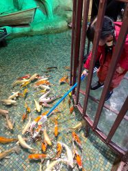 点击看大图 -酷嗒动物文化乐园(cutezoo西溪乐天城店)