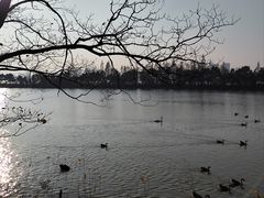 -艾溪湖湿地公园