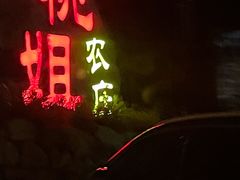 门面-桃姐农庄老字号(从化温泉店)