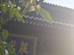 -西安大兴善寺