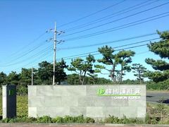 -多愿韩国护肝宝(济州店)