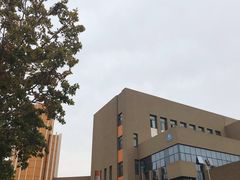 -山东省青岛第二中学(江西路分校)
