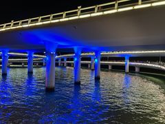 -演武大桥观景平台