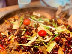 -老板恋上鱼(恒隆广场店)