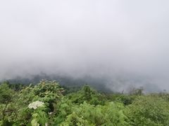 -武陵山森林公园