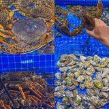 武汉美食 | 现捞现做的平价海鲜👉海港海中鲜