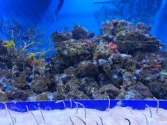 -成都浩海立方海洋公园