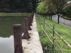 -铁山坪森林公园