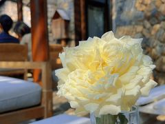 -MOJ coffee(瓯海泽雅水碓坑店)