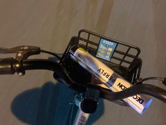 -东丽温泉羽毛球