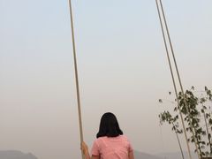 -大树秋千