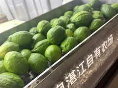 -introlemons(北京西单更新场店)