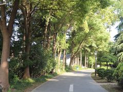 -春兰国宾馆(凤城河风景区老街店)