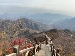 -大岭沟猕猴桃谷风景区