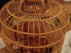 -胡桃里音乐酒馆(万科城市广场店)