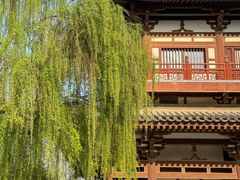 -西安青龙寺遗址景区