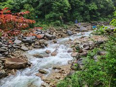 -姑婆山旅游区
