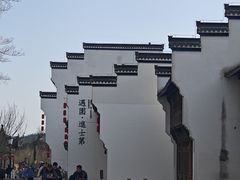 -南京市溧水区傅家边梅花山弄山庄