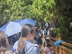 -白佛山景区
