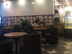大堂-油梨树 AVOCADO TREE(亮马桥店)