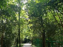 -WeLope紫金山探险公园