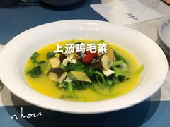 上汤鸡毛菜-荣小馆(临海世纪花城店)