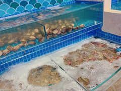 水产区-乔哥铭洋海鲜自助(皇城恒隆广场店)