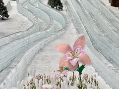 -湘江欢乐城欢乐雪域