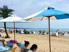 -巧克力渔家.小船海鲜家常菜(三浴场店)