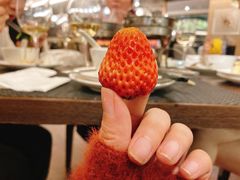 巧克力树莓布朗尼-乐咖啡西餐厅(太湖皇冠假日酒店)