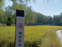 -北坞公园
