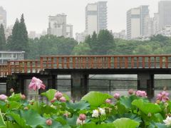 -黄兴公园