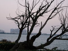 -滇池海埂公园