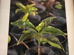 -星巴克(新达汇三林店)